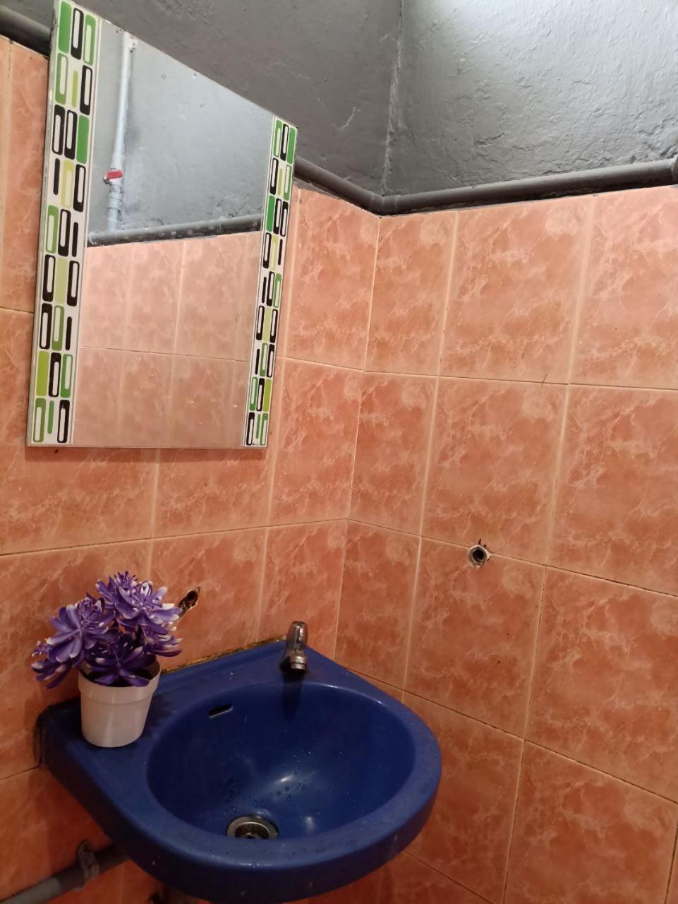 Greenleaf Guesthouse ジェラントゥート エクステリア 写真